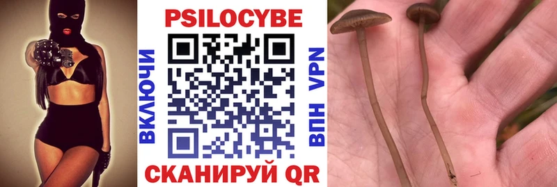 Галлюциногенные грибы мухоморы  Полесск 